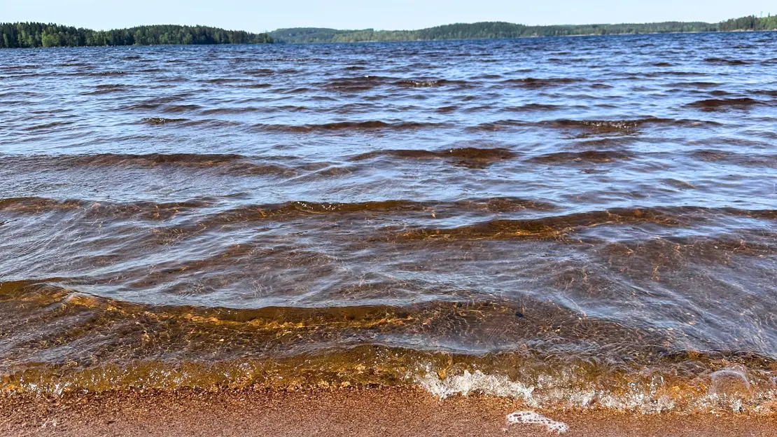 vågor mot sandstranden i holsljunga.