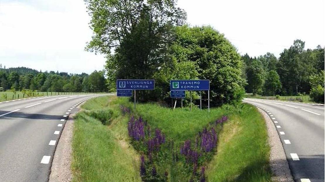 två stycken vägar med blommor och träd i mitten