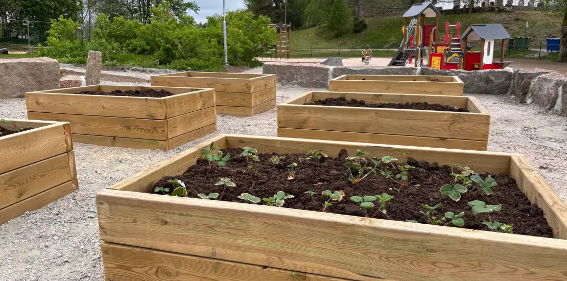 Odlingslådor på utegården