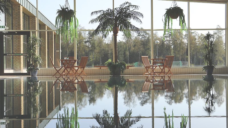 inomhuspool i simhall med palmer och bord med stolar