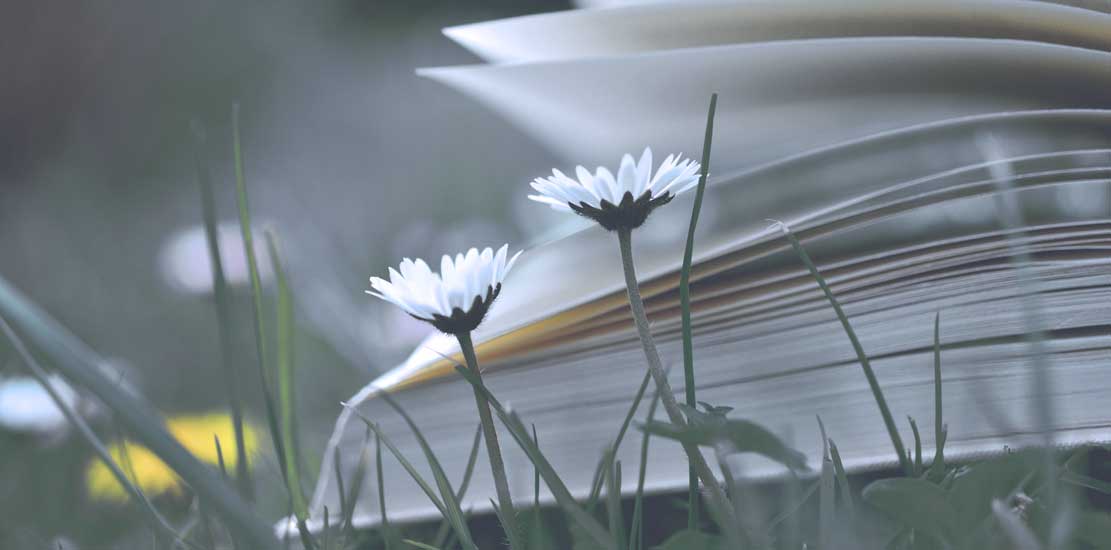 bok i gräset, omkring boken är det blommor
