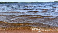 vågor mot sandstranden i holsljunga.